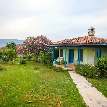 Olive Tree Gokova Daily Weekly Villa Ula