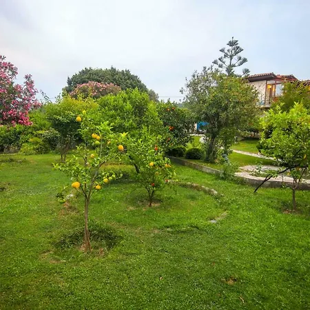 Villa Olive Tree Gokova Daily Weekly