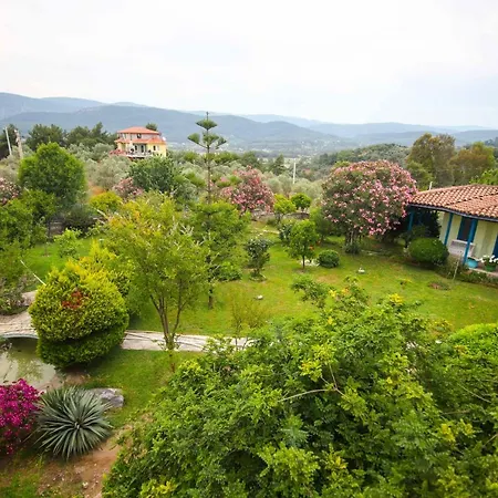 Villa Olive Tree Gokova Daily Weekly *