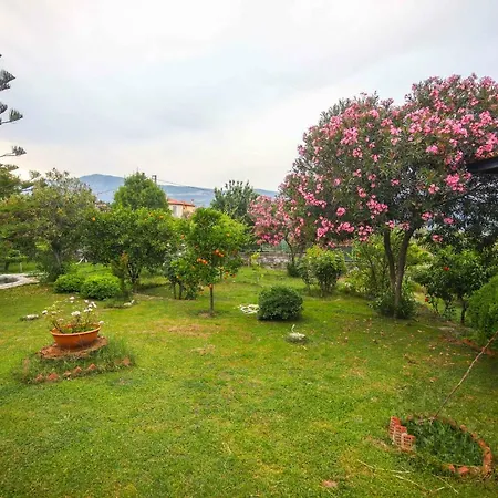Olive Tree Gokova Daily Weekly Villa Ula